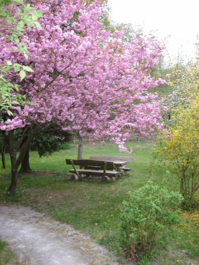 Ferienwohnung Ostseewald Росток Екстер'єр фото