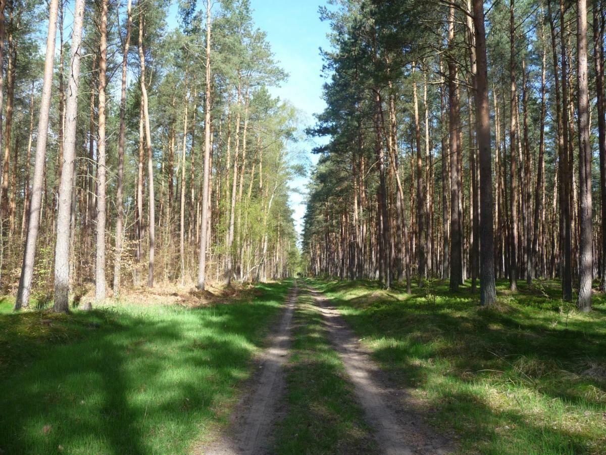 Ferienwohnung Ostseewald Росток Екстер'єр фото